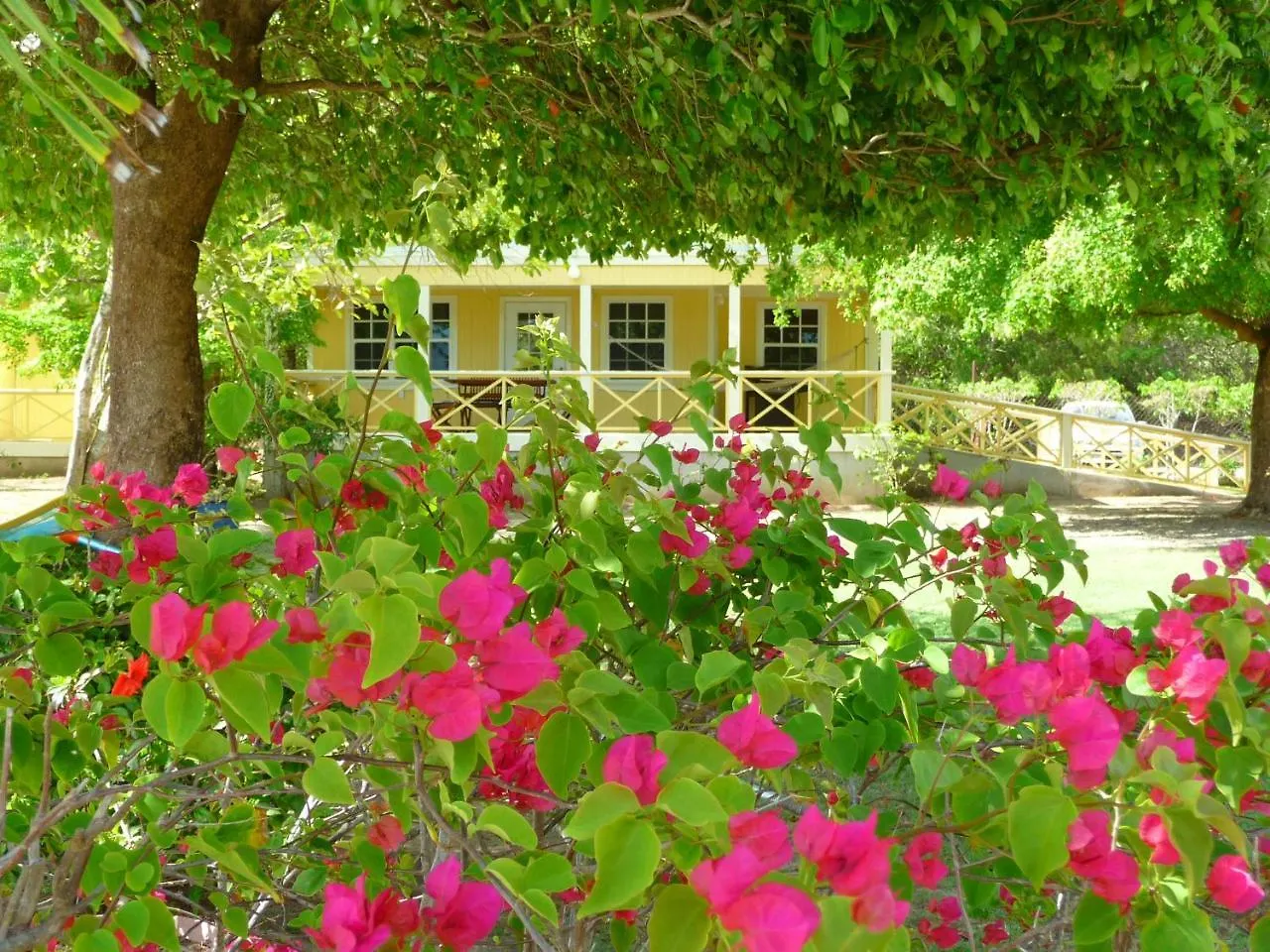 ホリデーパーク Yepton Estate Cottages Five Islands Village
